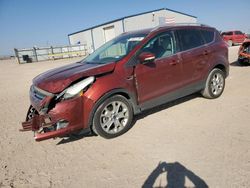 Salvage cars for sale at Amarillo, TX auction: 2014 Ford Escape Titanium