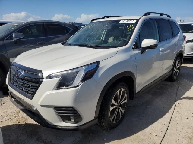 2024 Subaru Forester Limited