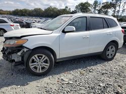 Salvage cars for sale at Byron, GA auction: 2010 Hyundai Santa FE Limited