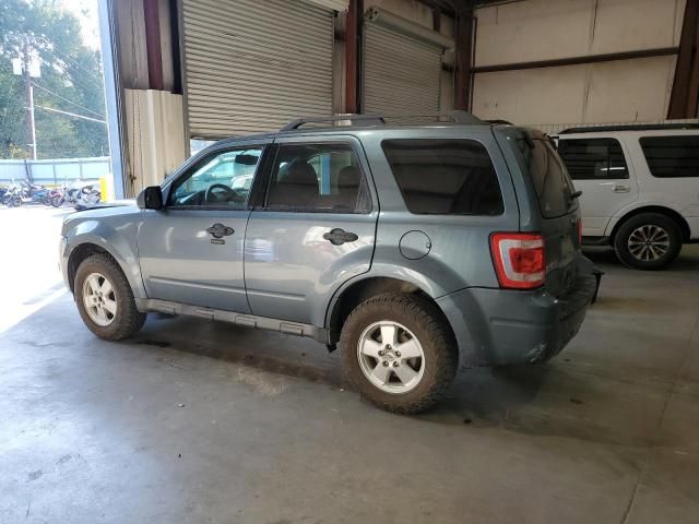 2012 Ford Escape XLT