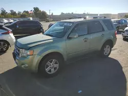 Ford salvage cars for sale: 2009 Ford Escape Hybrid