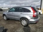 2007 Honda CR-V EXL