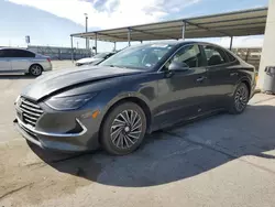 Salvage cars for sale from Copart Anthony, TX: 2023 Hyundai Sonata Hybrid