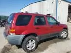 2004 Ford Escape XLT