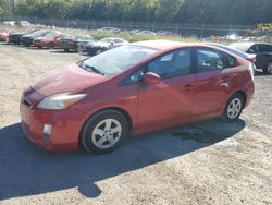 Salvage cars for sale at Baltimore, MD auction: 2010 Toyota Prius