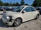 2006 Volkswagen New Beetle 2.5L