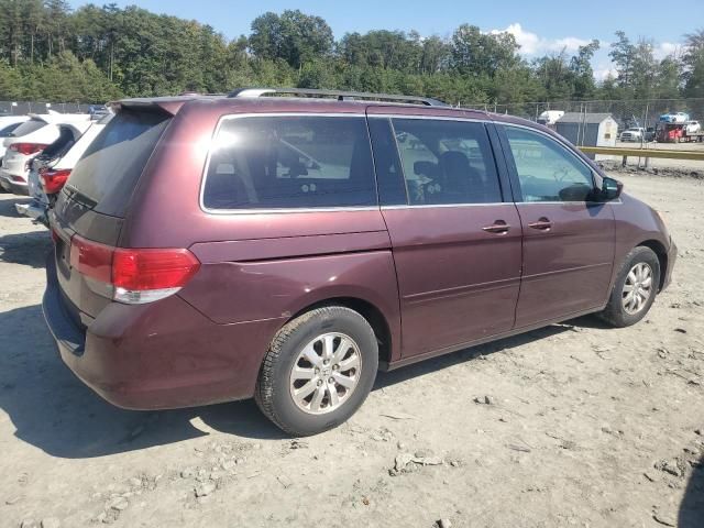 2008 Honda Odyssey EXL