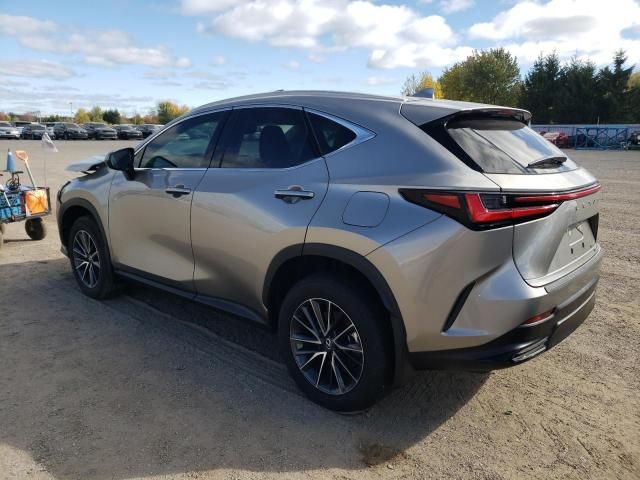 2024 Lexus NX 350 Premium