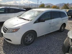 Honda salvage cars for sale: 2012 Honda Odyssey EX