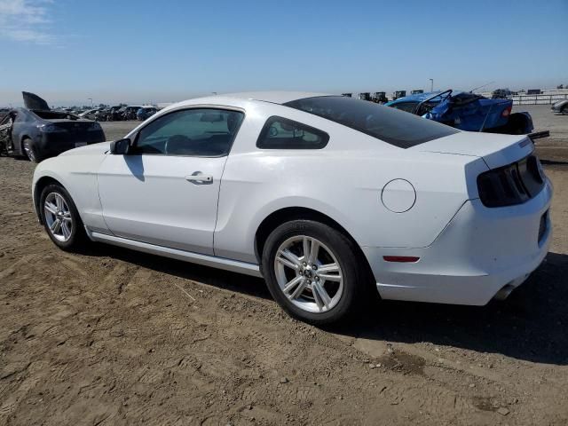 2014 Ford Mustang