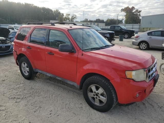 2009 Ford Escape XLT