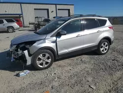 Salvage cars for sale at Earlington, KY auction: 2016 Ford Escape SE