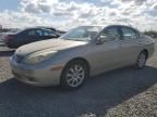 2004 Lexus ES 330