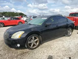 Nissan Vehiculos salvage en venta: 2006 Nissan Maxima SE