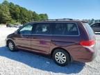 2008 Honda Odyssey EXL