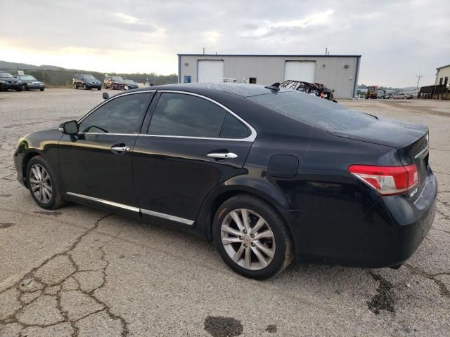 2010 Lexus ES 350