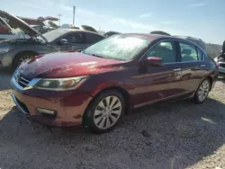 2015 Honda Accord EXL en venta en Apopka, FL