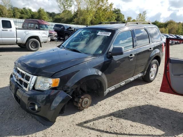 2011 Ford Escape XLT