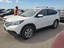 Salvage cars for sale at Arcadia, FL auction: 2012 Honda CR-V EXL