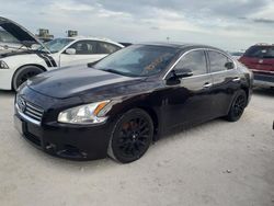 Carros salvage sin ofertas aún a la venta en subasta: 2012 Nissan Maxima S