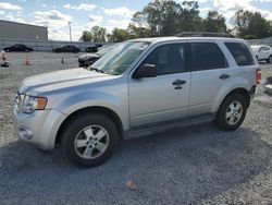 Salvage cars for sale at Gastonia, NC auction: 2012 Ford Escape XLT