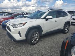 Toyota salvage cars for sale: 2019 Toyota Rav4 Limited