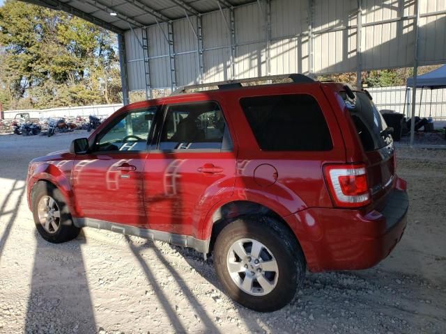 2009 Ford Escape Limited