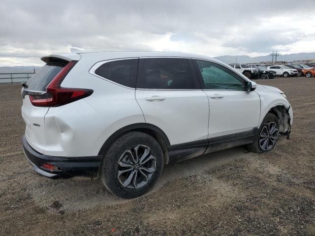 2020 Honda CR-V EXL