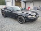 2000 Ford Mustang GT