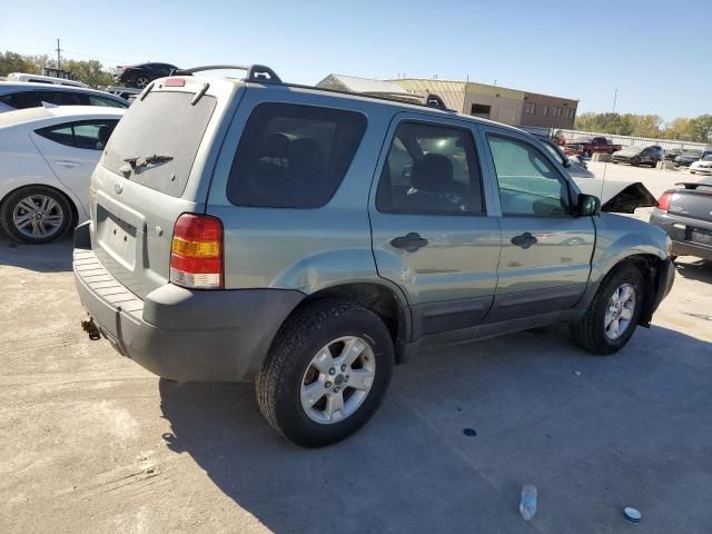 2007 Ford Escape XLT