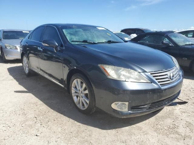 2010 Lexus ES 350