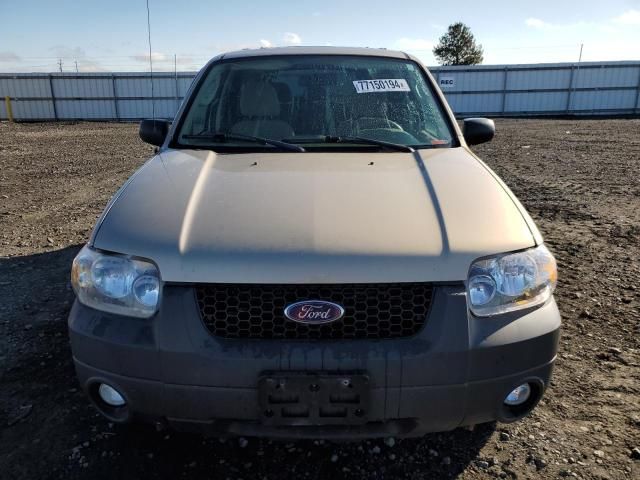 2007 Ford Escape XLT