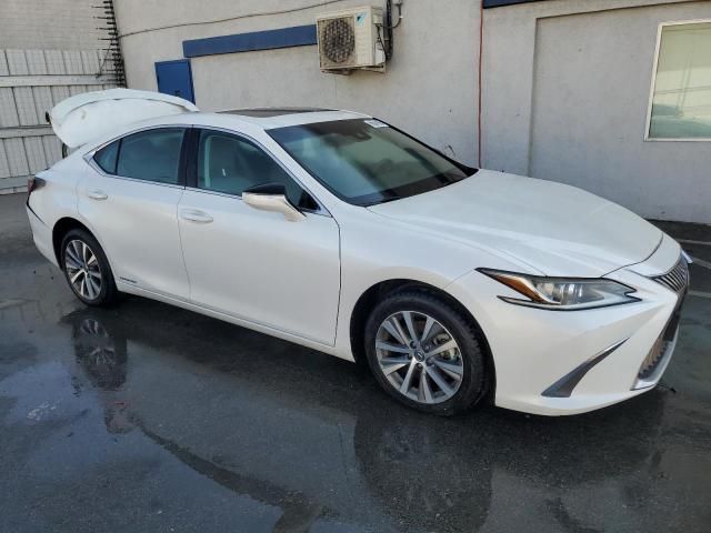 2019 Lexus ES 300H