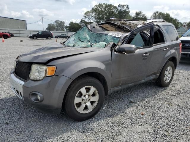 2011 Ford Escape Limited