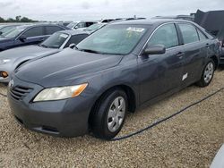 Salvage cars for sale at Arcadia, FL auction: 2009 Toyota Camry Base