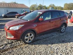 Salvage cars for sale at Columbus, OH auction: 2014 Ford Escape SE