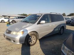 Salvage cars for sale at Sacramento, CA auction: 2003 Honda Odyssey EXL