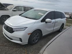 2021 Honda Odyssey EX en venta en Arcadia, FL