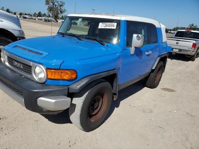 2007 Toyota FJ Cruiser