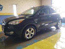 Copart select cars for sale at auction: 2013 Ford Escape SE