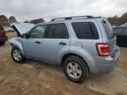 2008 Ford Escape HEV