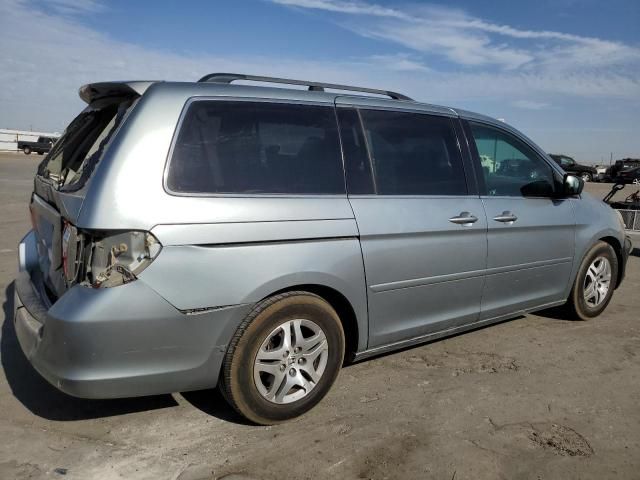 2005 Honda Odyssey EXL