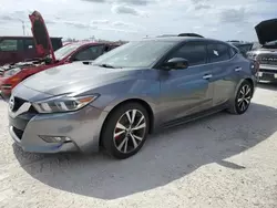 Salvage cars for sale at Arcadia, FL auction: 2017 Nissan Maxima 3.5S