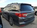 2019 Honda Odyssey EXL