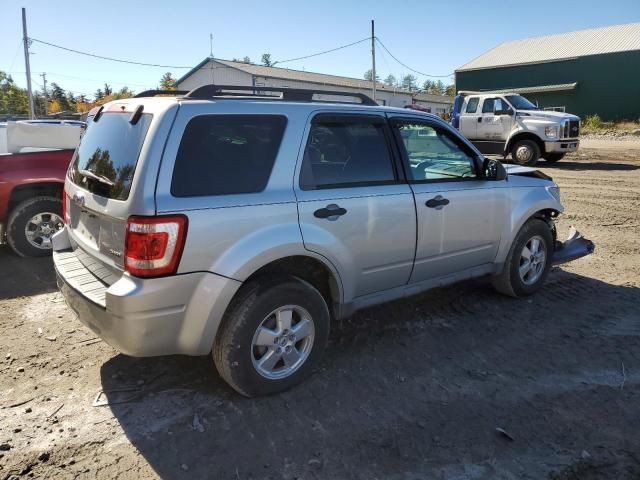 2009 Ford Escape XLT