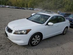 Salvage cars for sale at Marlboro, NY auction: 2009 Honda Accord EXL