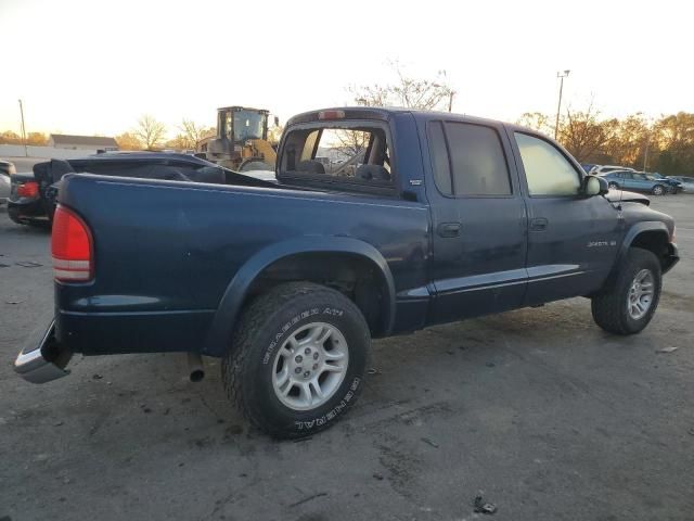 2001 Dodge Dakota Quattro