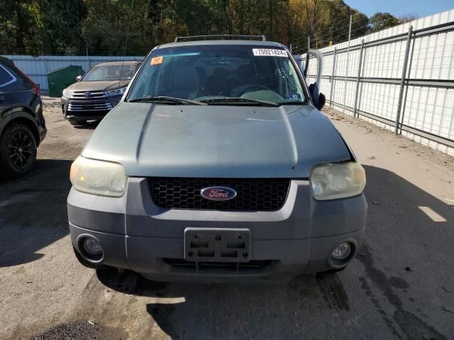 2006 Ford Escape XLT