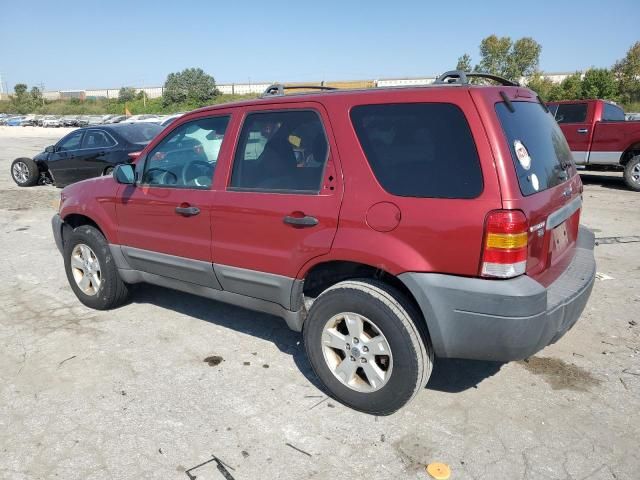 2005 Ford Escape XLT