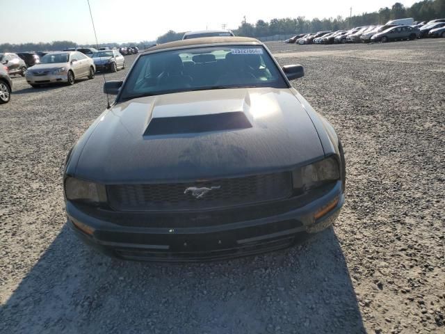 2007 Ford Mustang